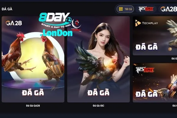 Đá Gà 8DAY Đá Gà Trực Tiếp Campuchia, Thomo